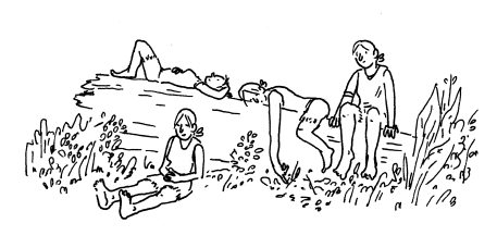Picture 5