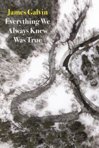 Bradley Harrison Reviews James Galvin’s “Everything We Always Knew Was True” post image